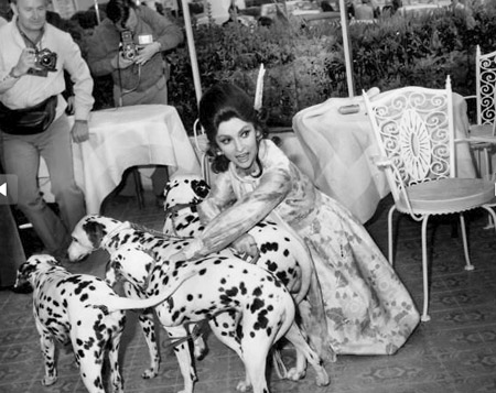 Gina Lollobrigida