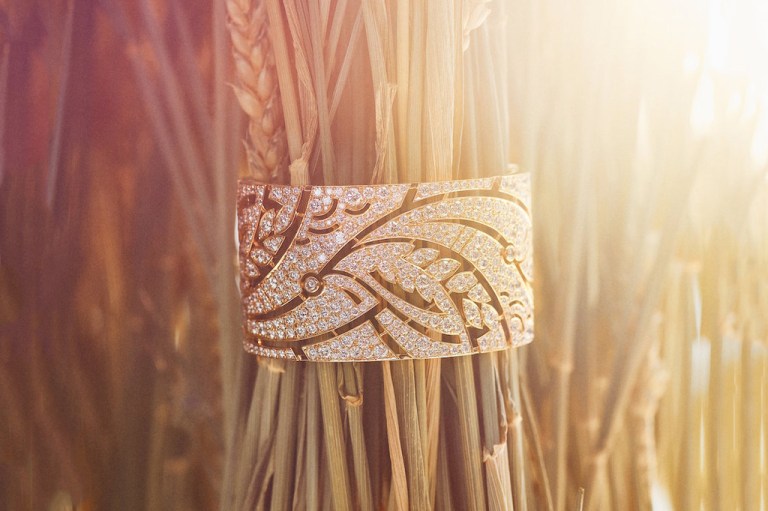 les-bles-de-chanel-2