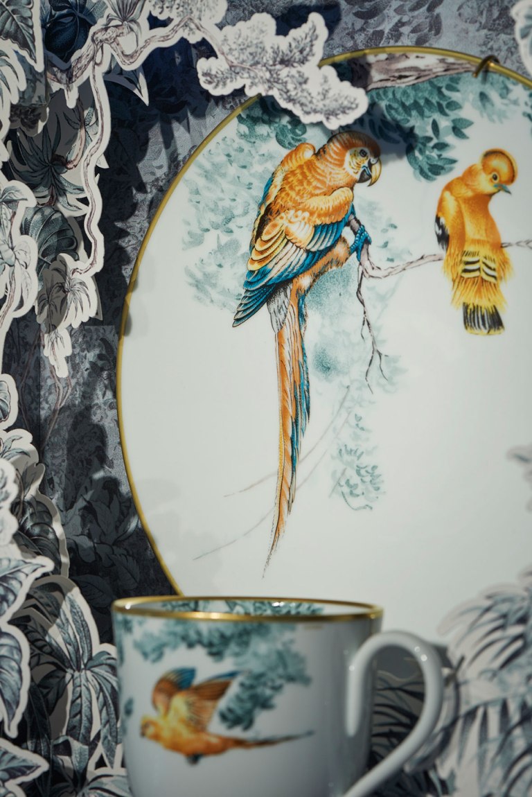 Hermés tableware featuring Robert Dallet illustration, called Carnets d'Équateur Porcelain Collection