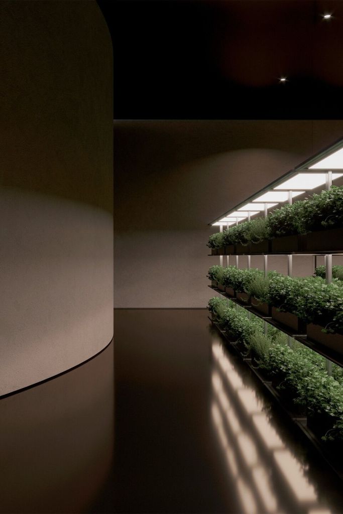 An interior view of an underground garden area featuring neatly arranged plants on shelves with modern lighting.