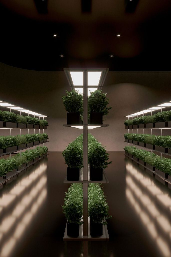 A modern indoor garden featuring rows of potted herbs under bright artificial lighting, creating a lush, green atmosphere.