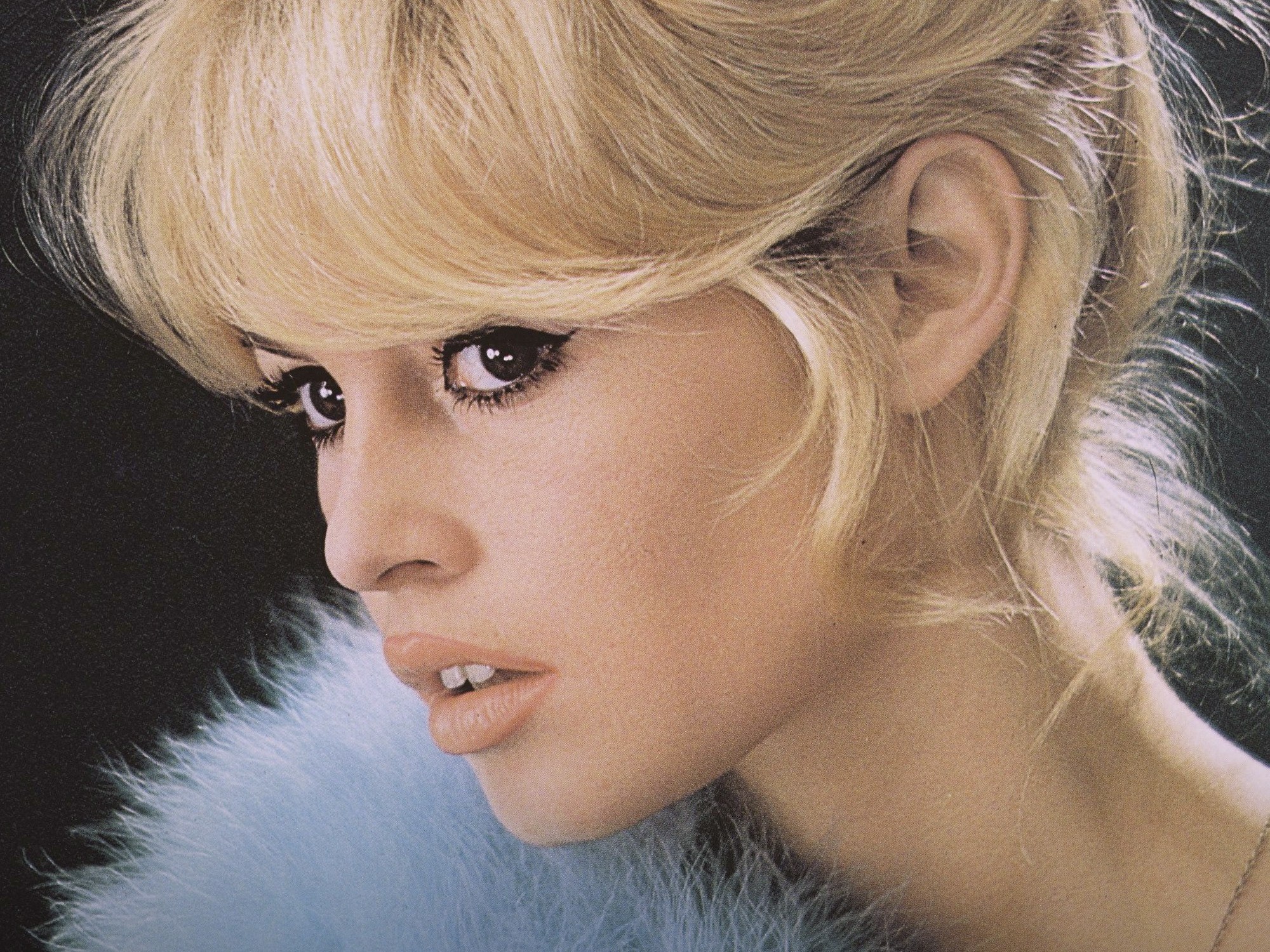 Brigitte Bardot profile portrait wearing blue feathers