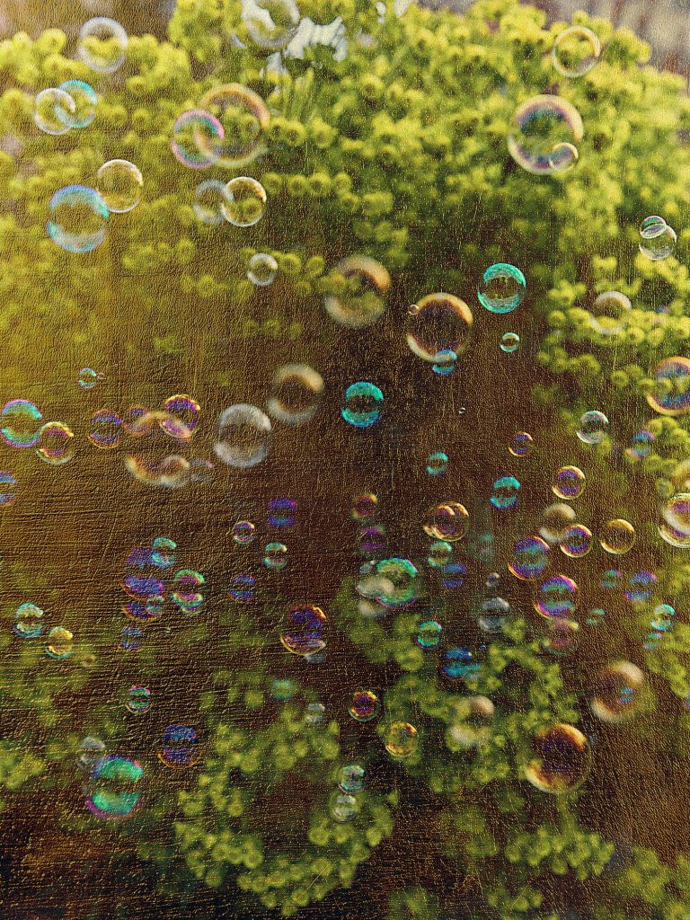 thomas de monaco luisant haze bubbles in green field