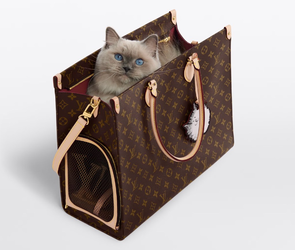 LV monogram handbag with a pussy cat sitting inside