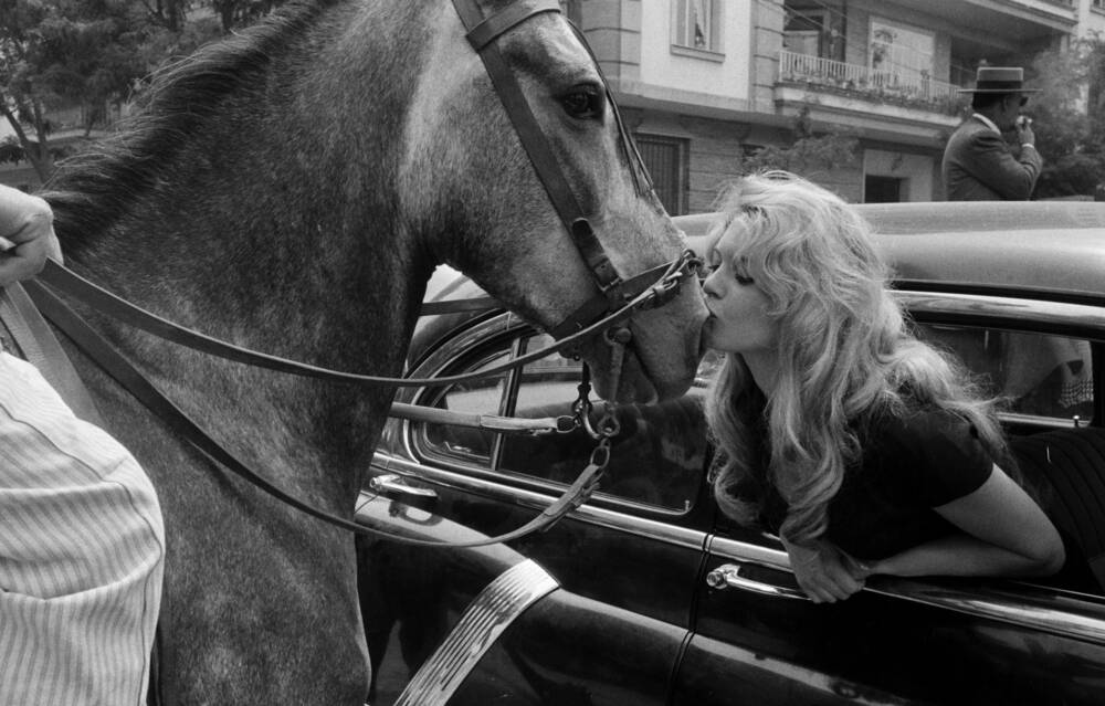 Brigitte Bardot kissing a horse